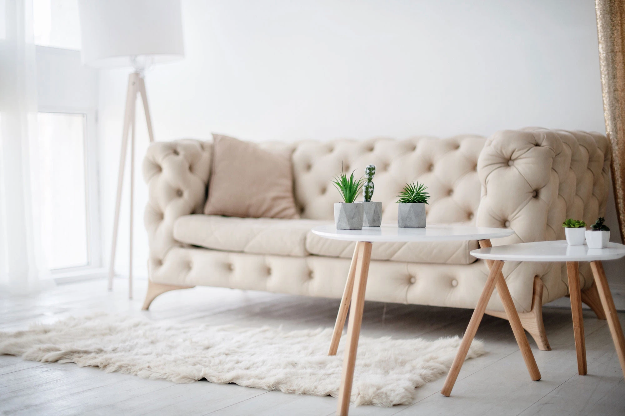 Sofa Cleaning Services
