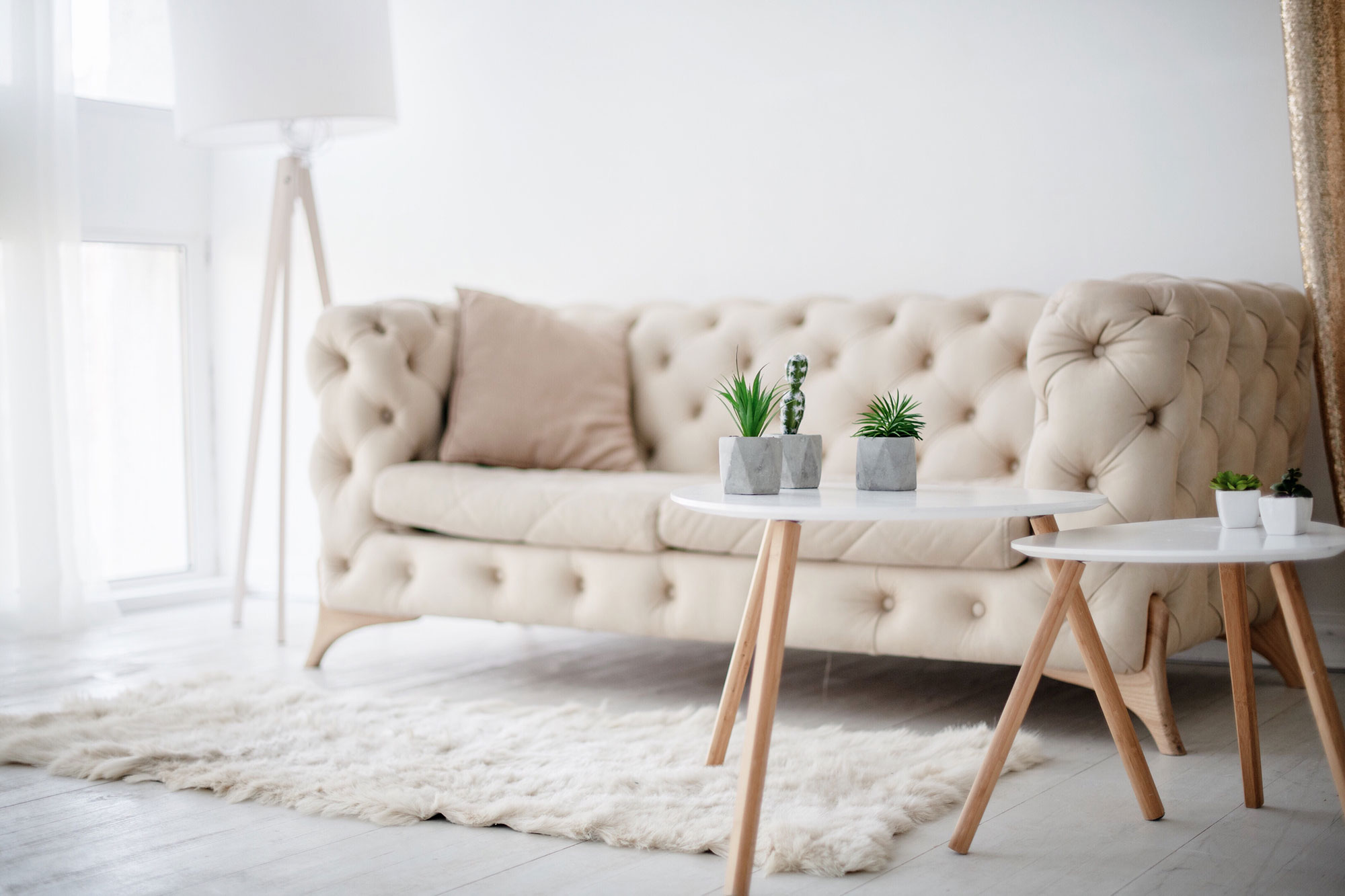 Pure Living Sofa