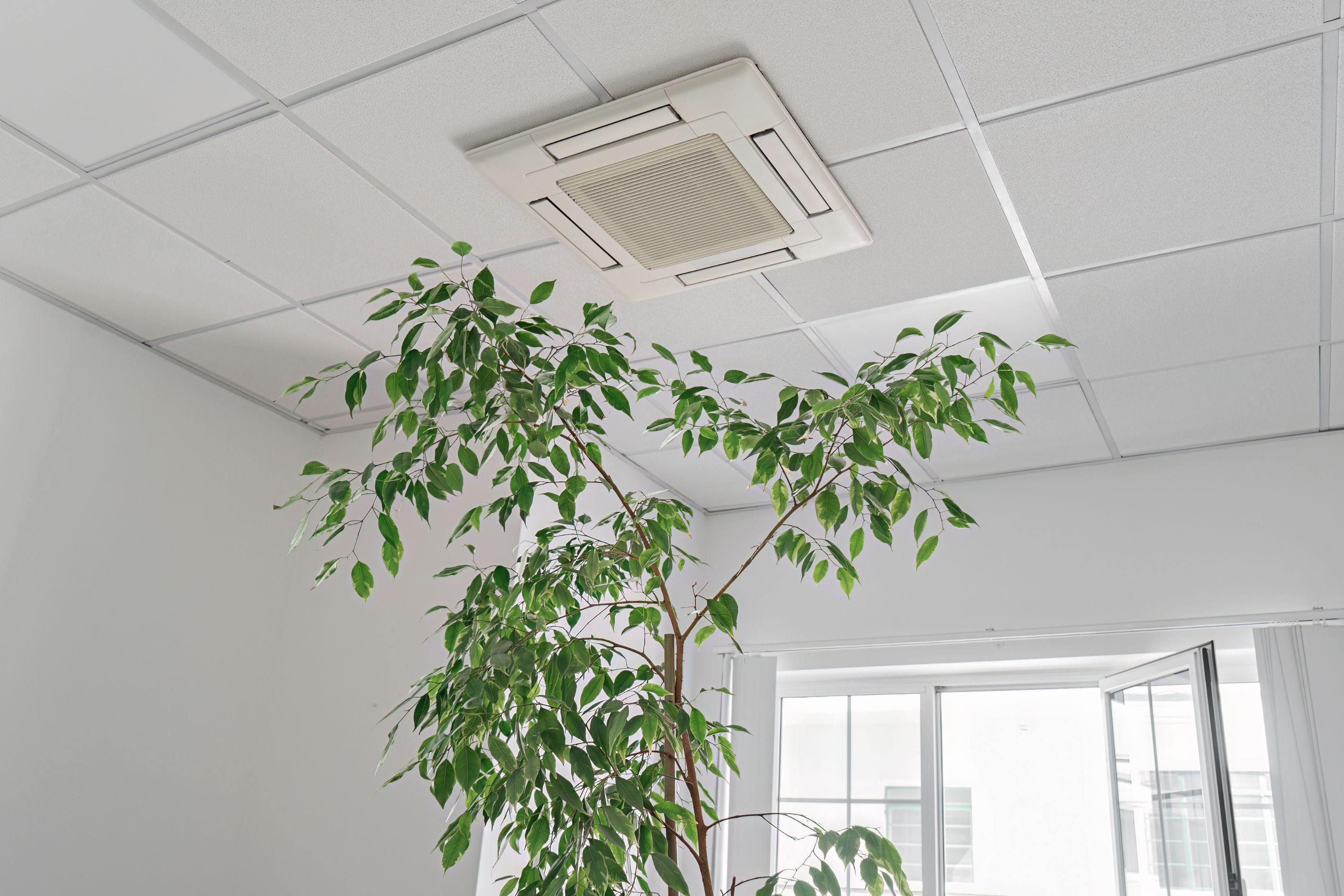 AC Services