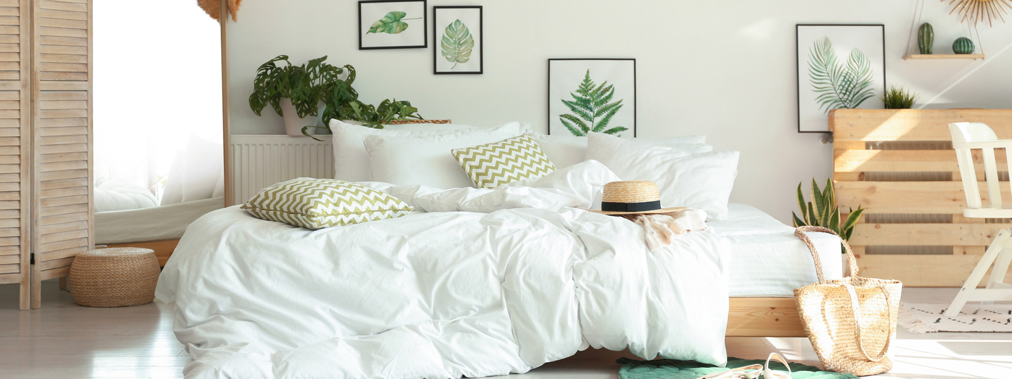 Mattress Cleaning Service