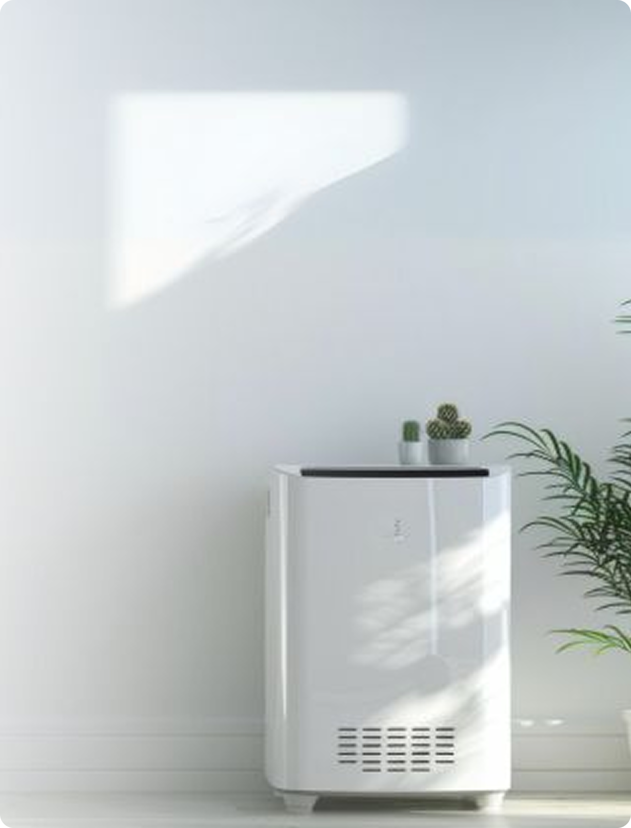 Holistic Wellness Products